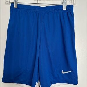 Nike Men's Royal Blue Sports Shorts